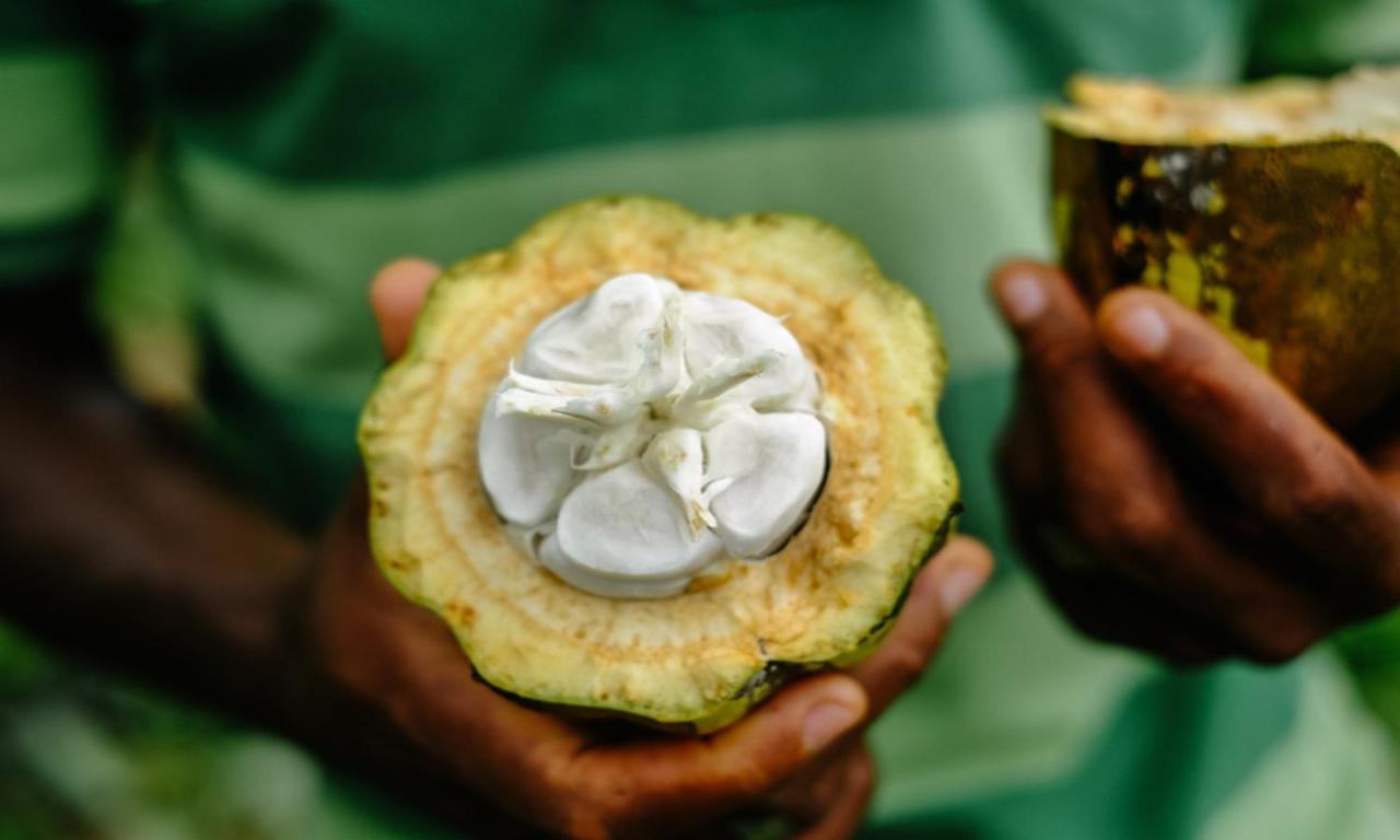 Omali Sao Tome Hotel Luaran gambar